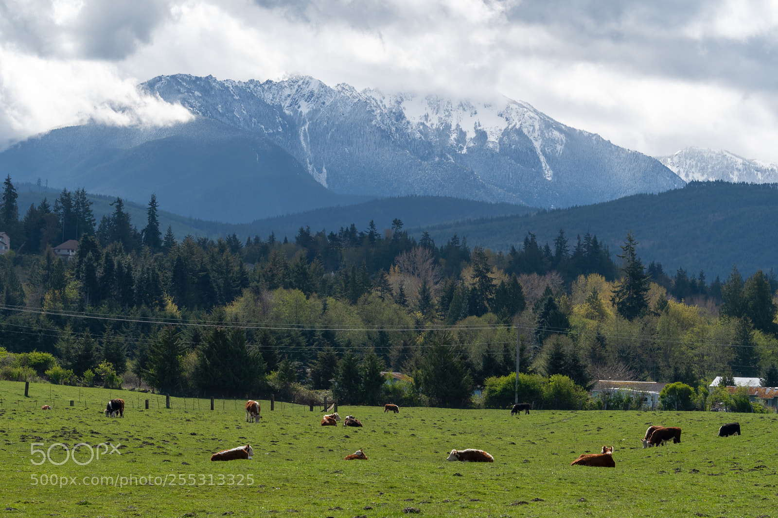 Nikon D500 sample photo. Lower elwha klallam reservation photography