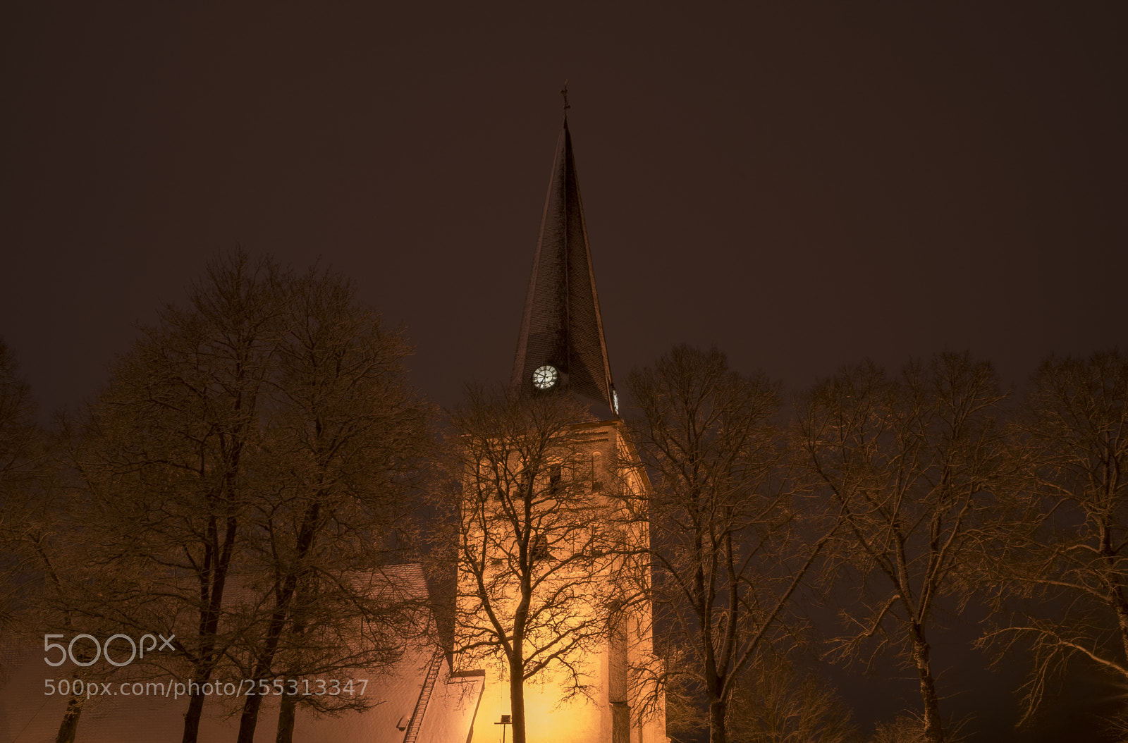 Nikon D5300 sample photo. Winter photography