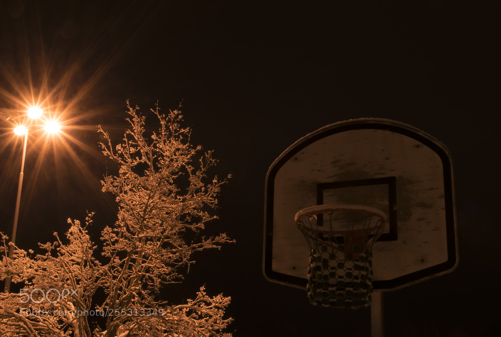 Nikon D5300 sample photo. Winter photography