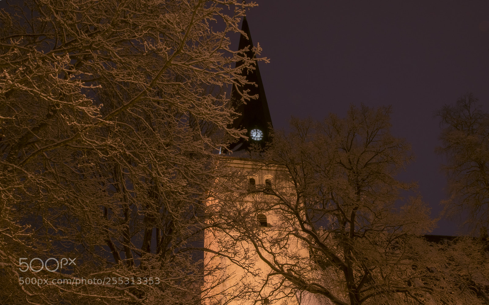 Nikon D5300 sample photo. Winter photography