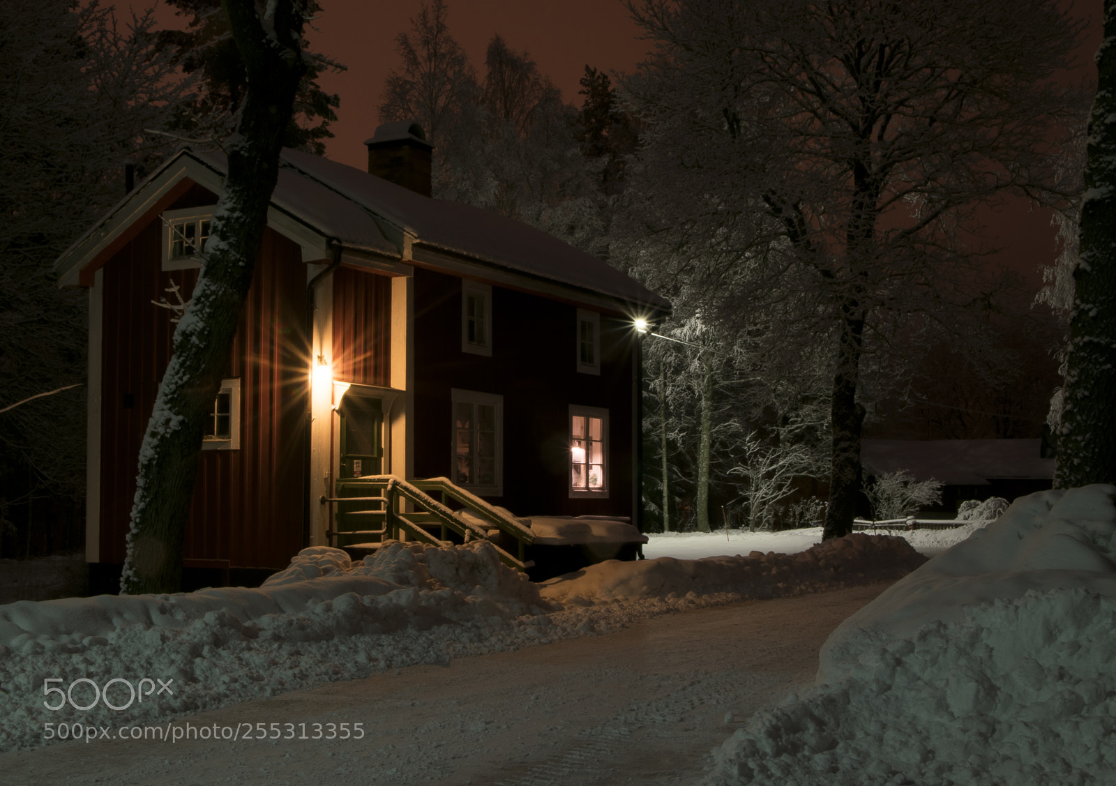 Nikon D5300 sample photo. Winter photography