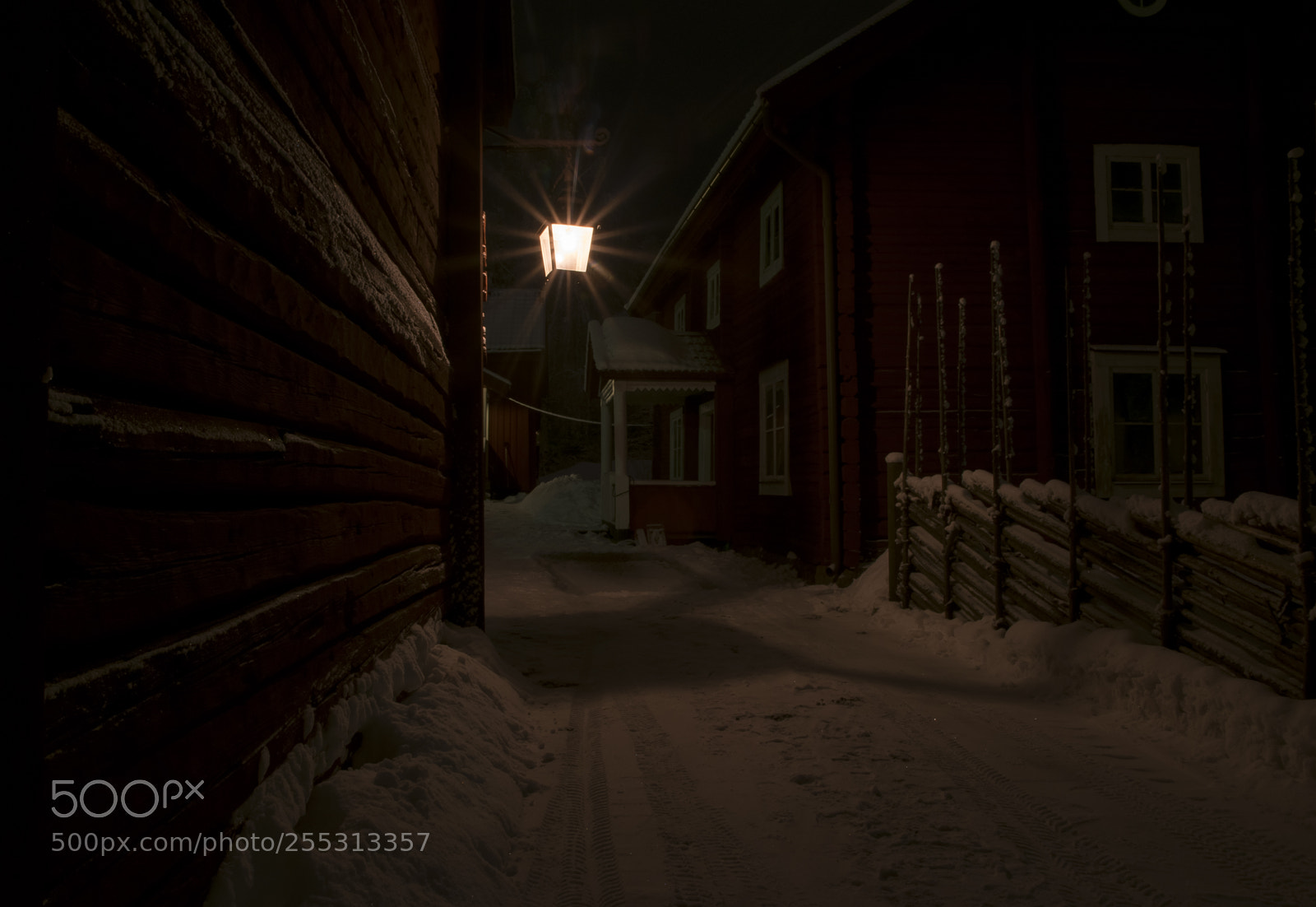 Nikon D5300 sample photo. Winter photography