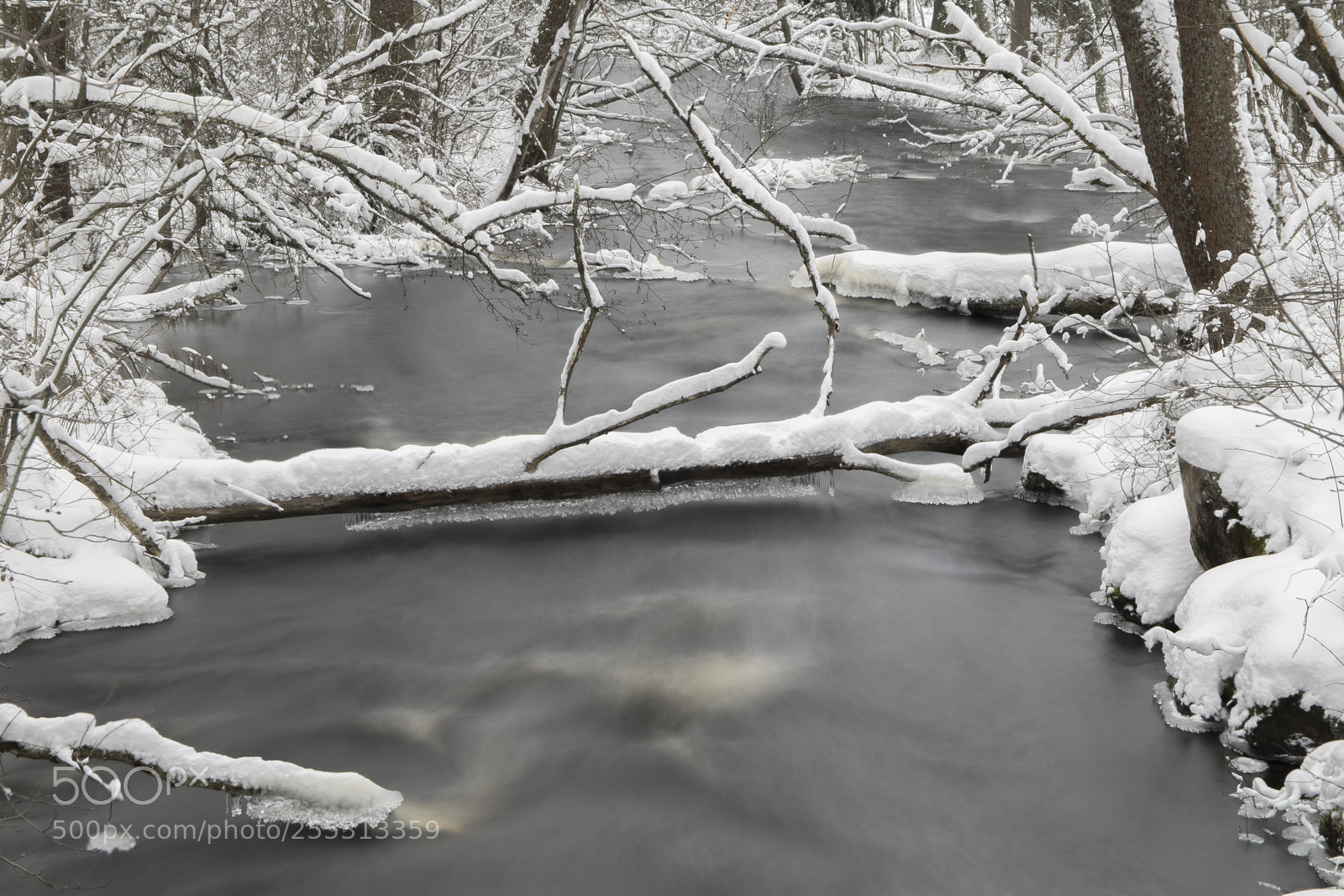 Nikon D5300 sample photo. Winter photography