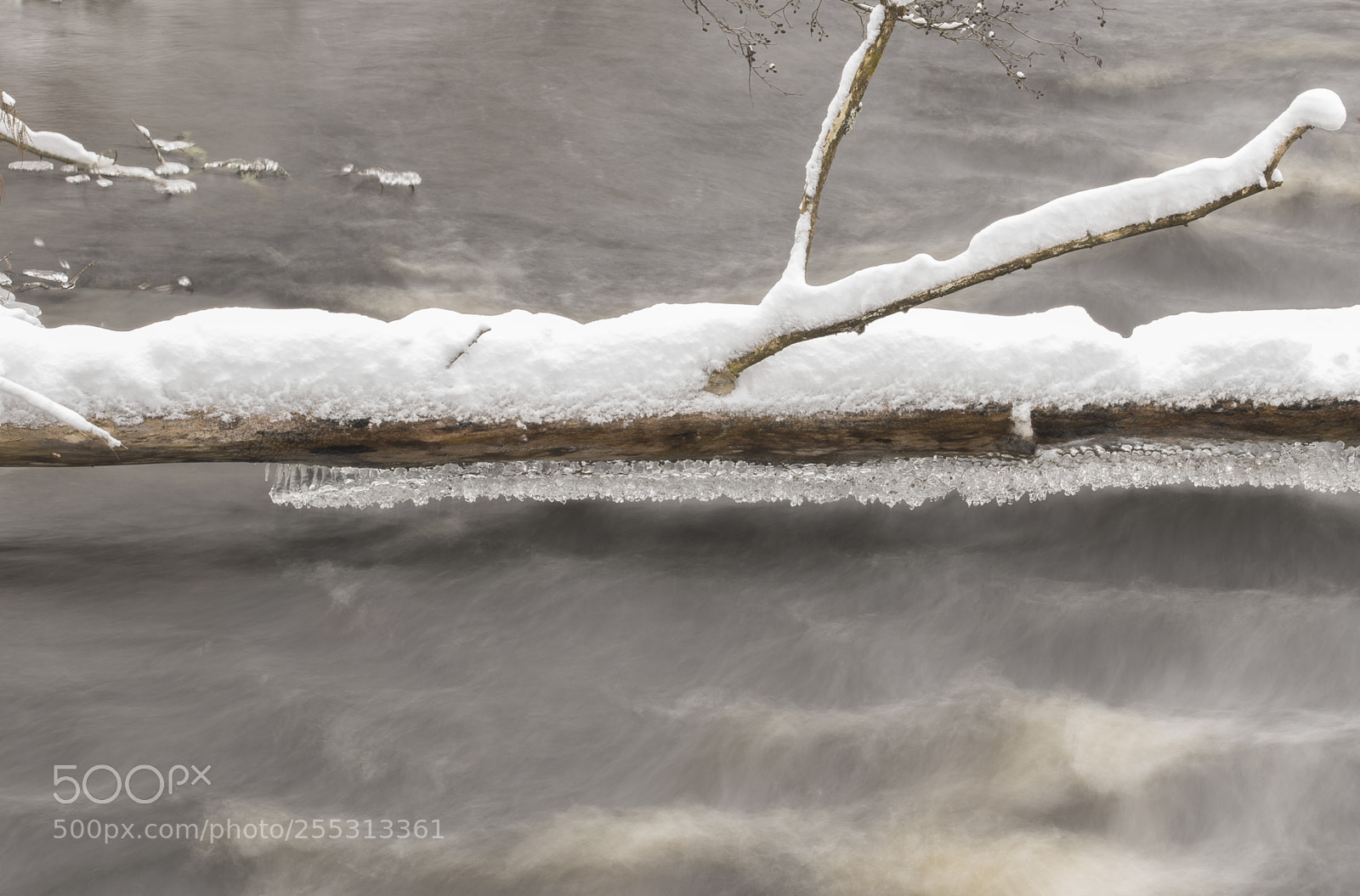 Nikon D5300 sample photo. Winter photography