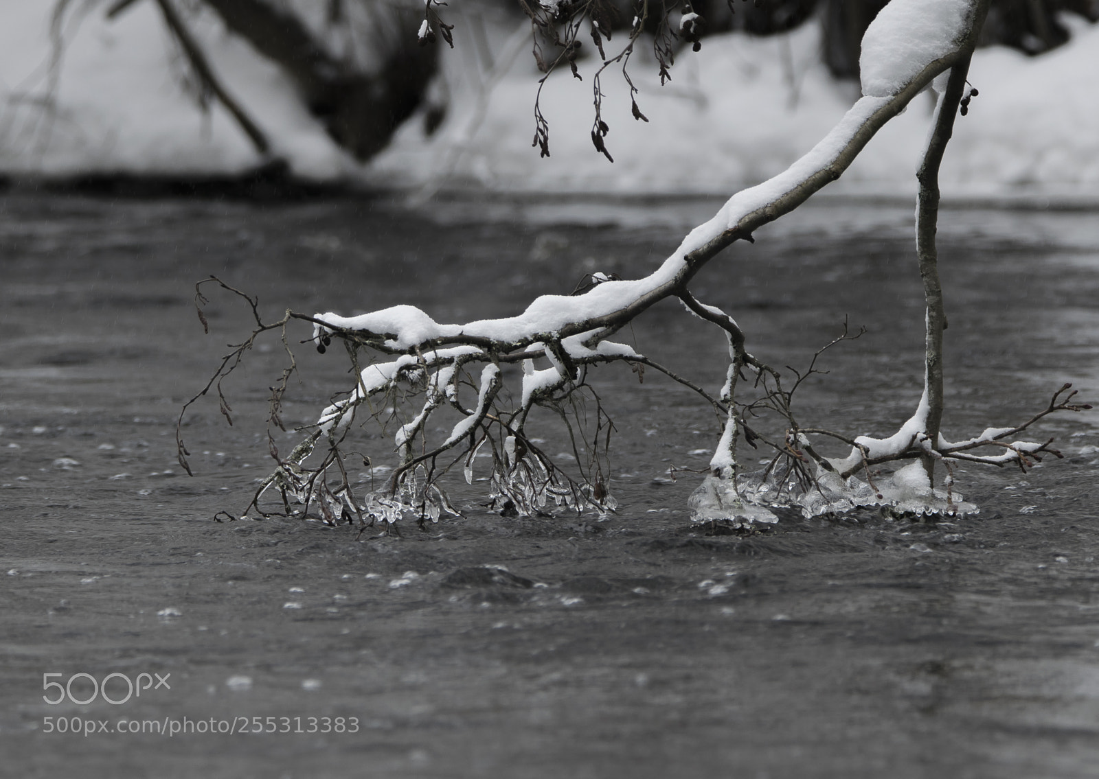 Nikon D5300 sample photo. Winter photography