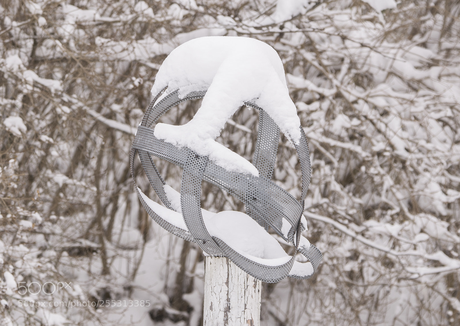 Nikon D5300 sample photo. Winter photography