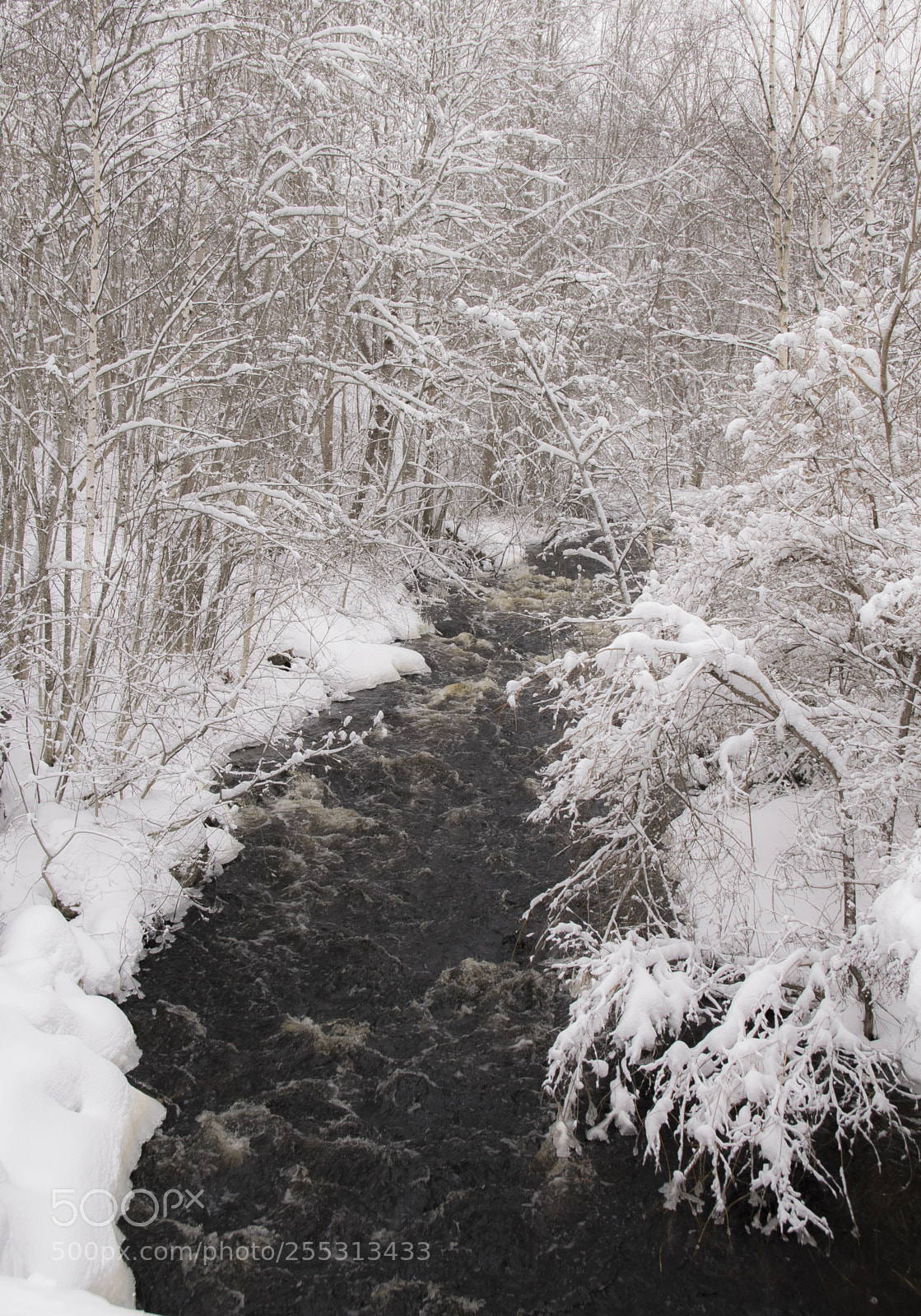 Nikon D5300 sample photo. Winter photography