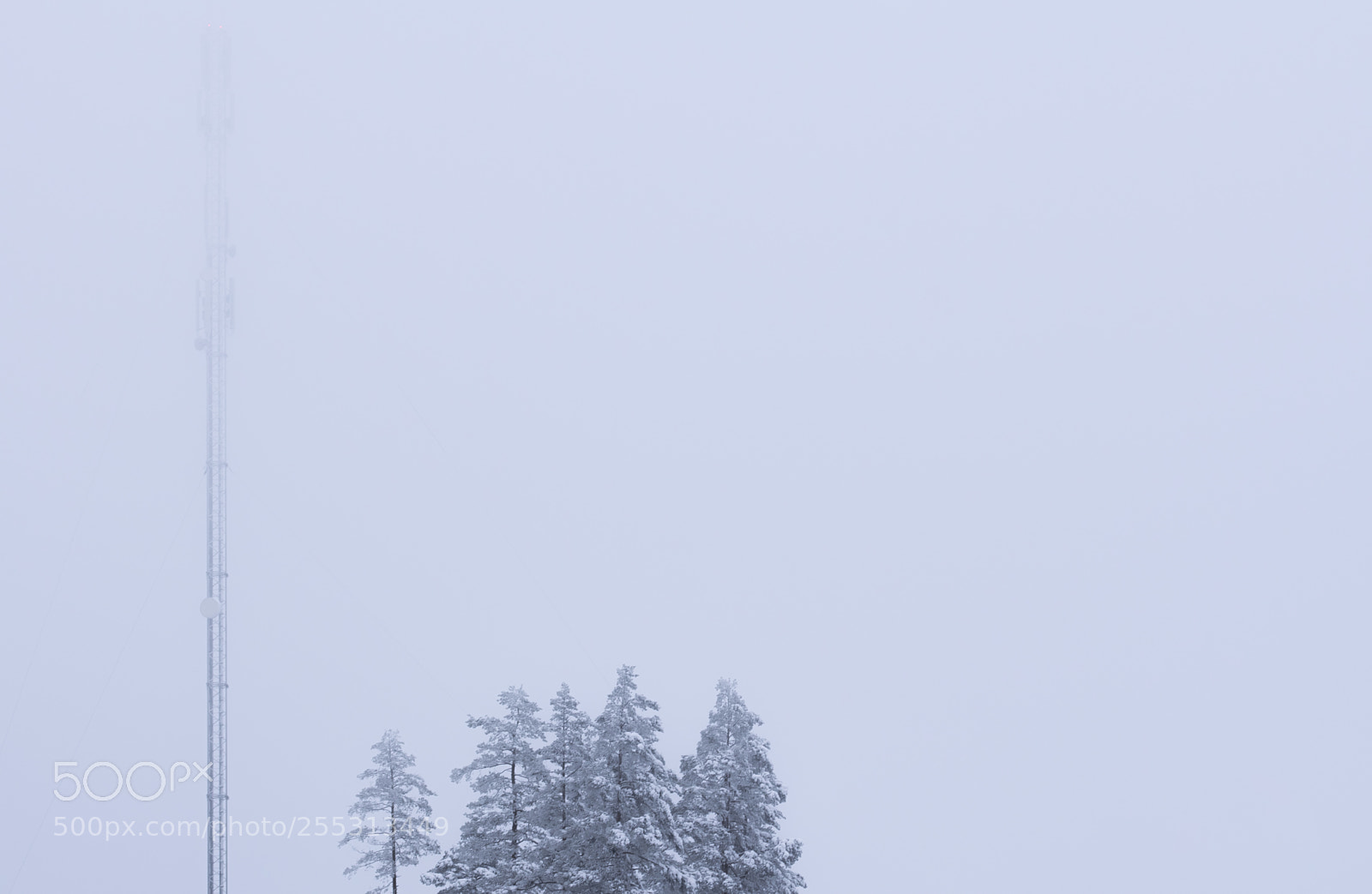 Nikon D5300 sample photo. Winter photography