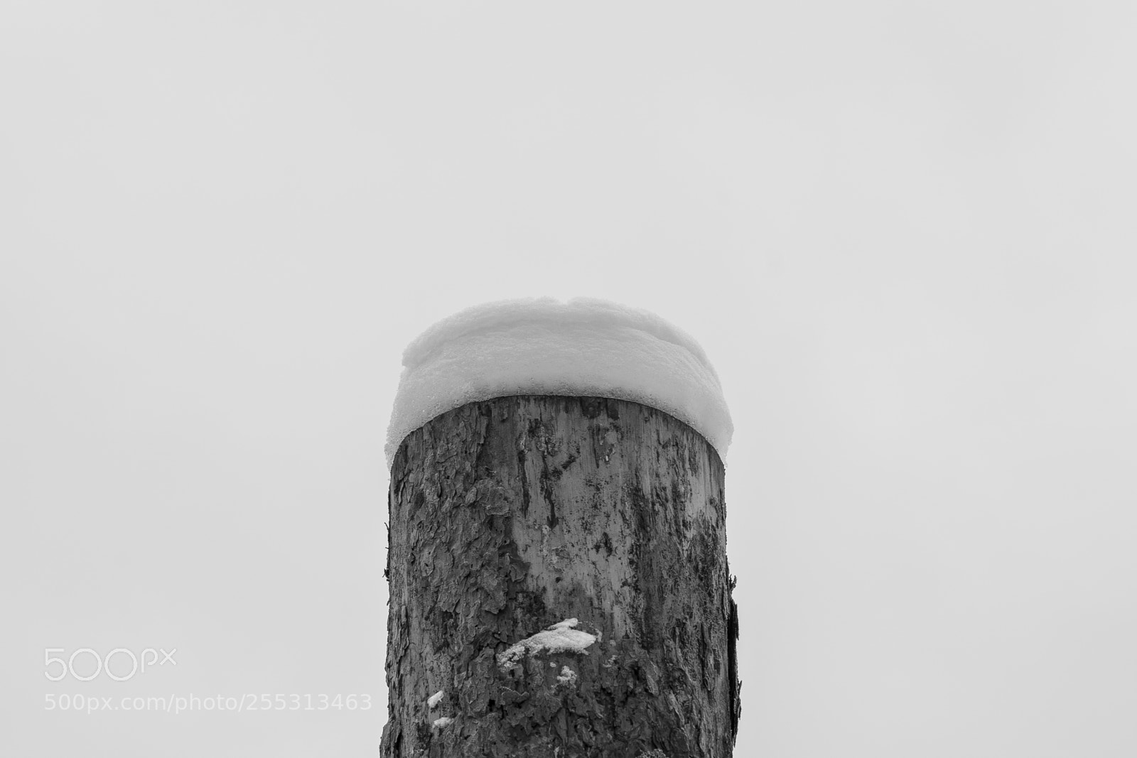 Nikon D5300 sample photo. Winter photography