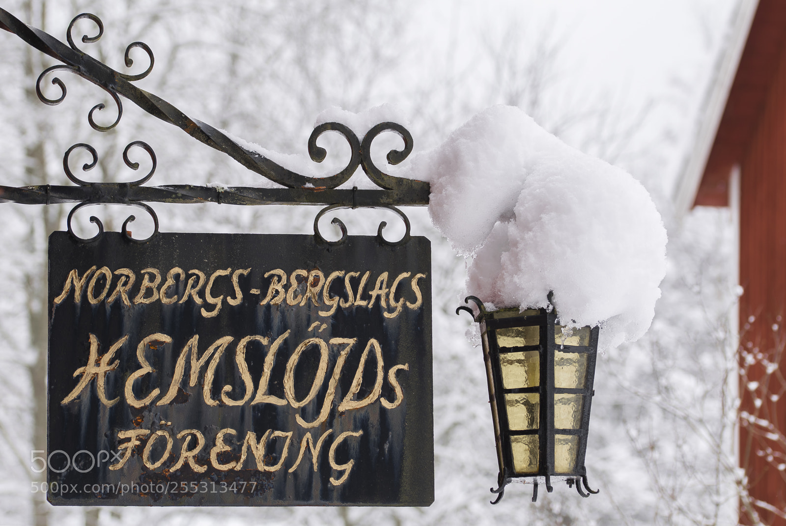 Nikon D5300 sample photo. Winter photography