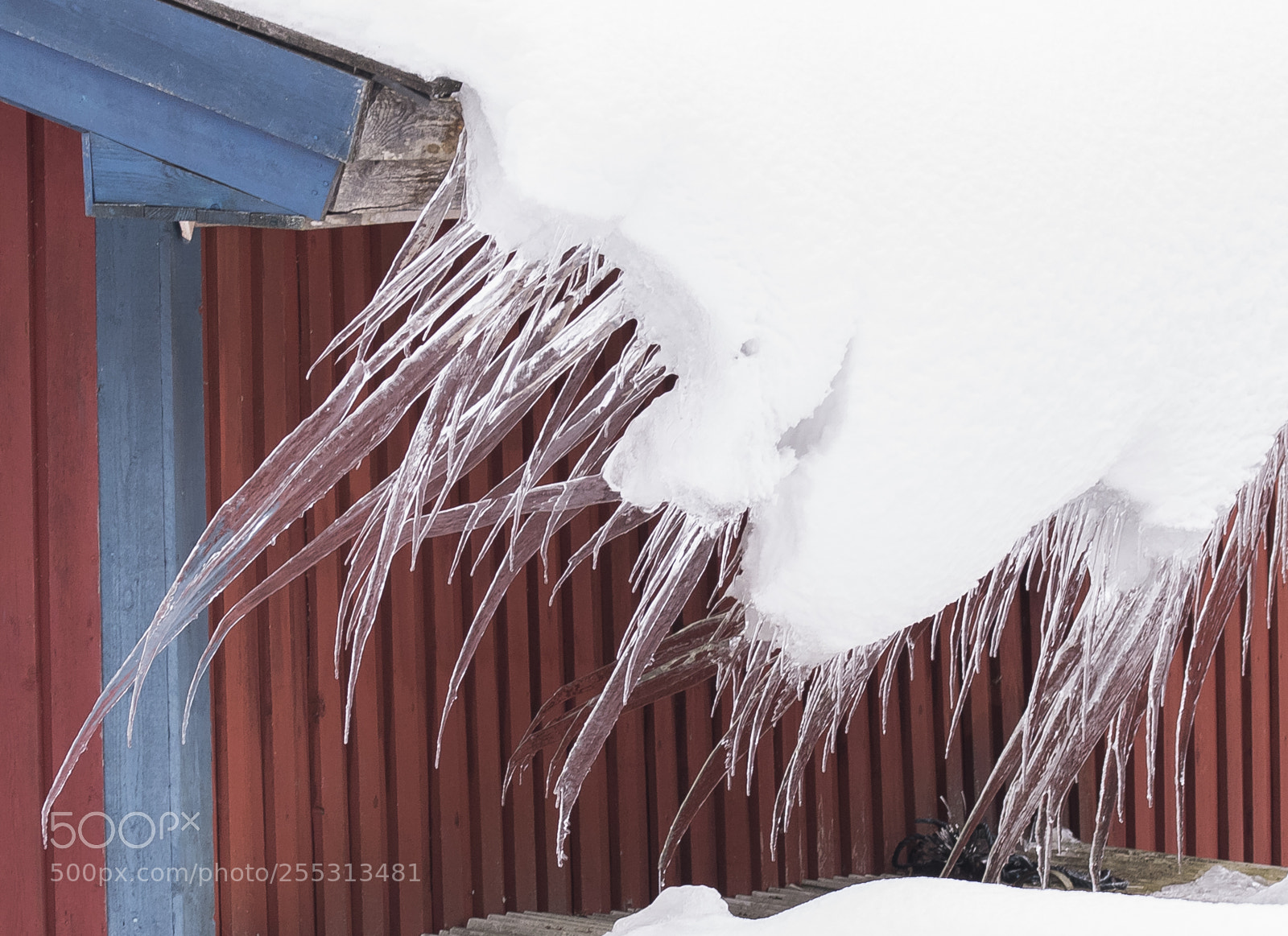 Nikon D5300 sample photo. Winter photography