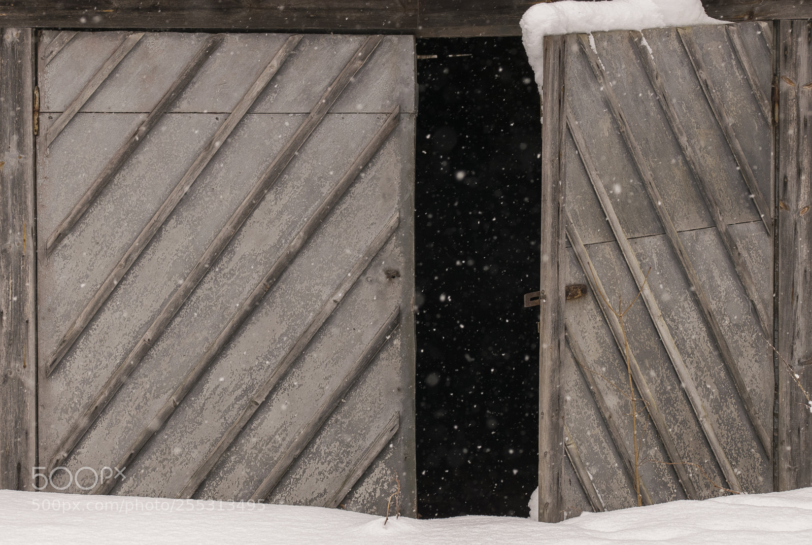 Nikon D5300 sample photo. Winter photography