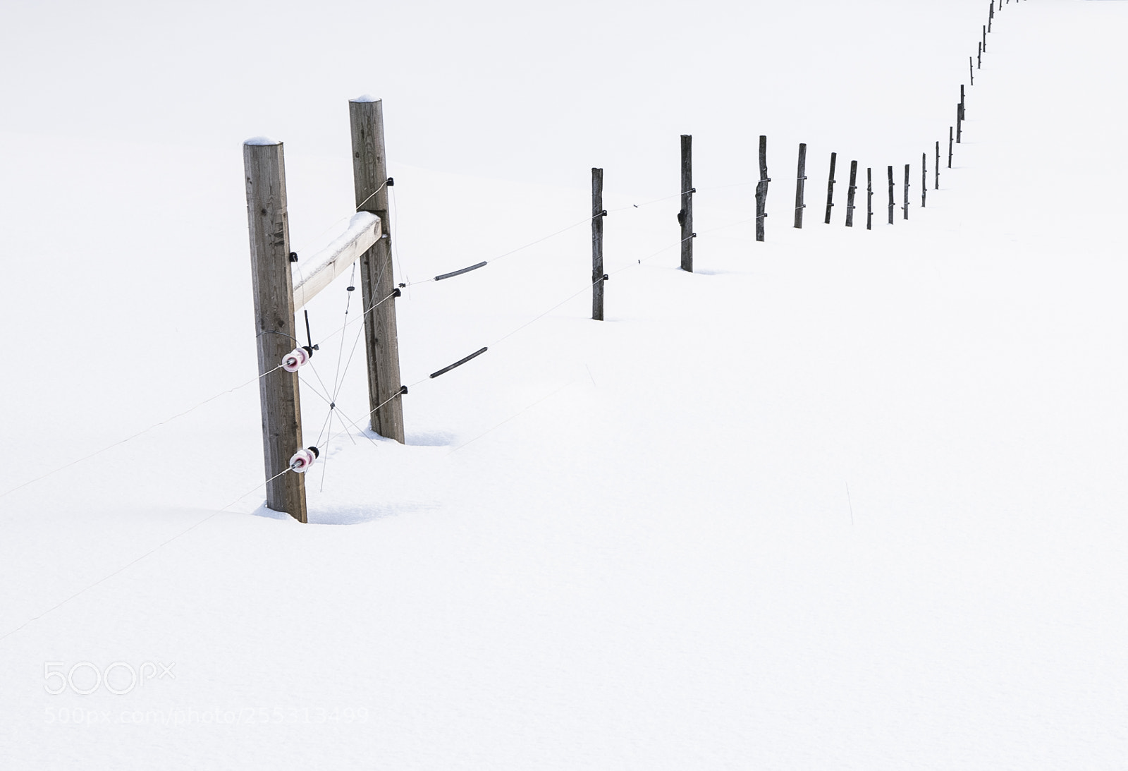 Nikon D5300 sample photo. Winter photography