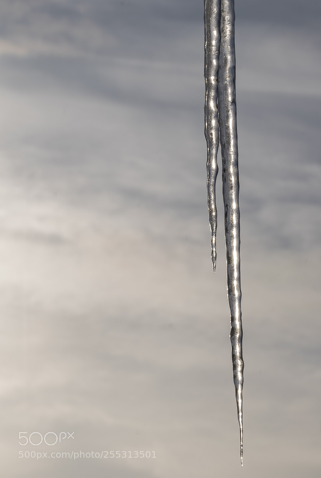 Nikon D5300 sample photo. Winter photography