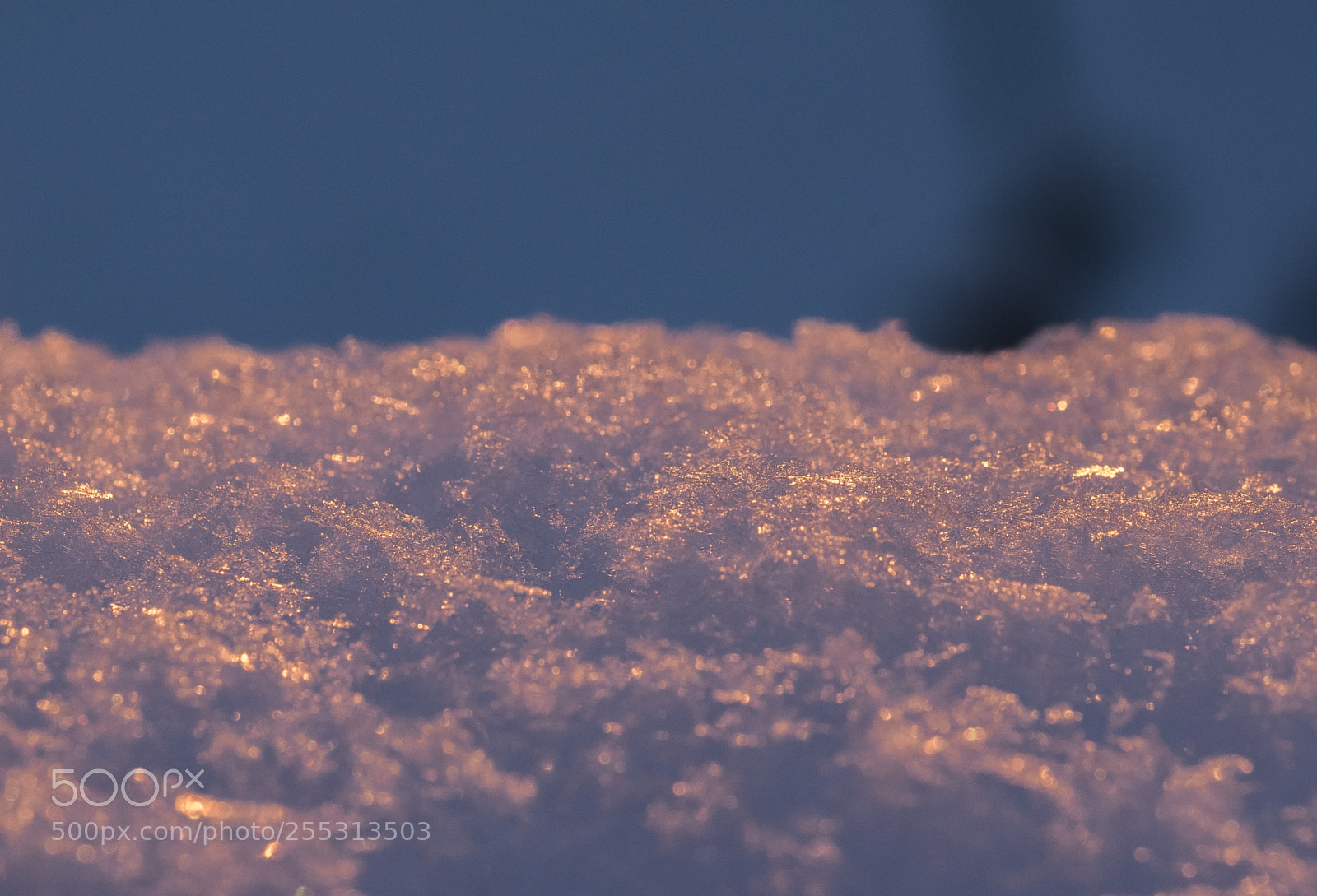 Nikon D5300 sample photo. Winter photography