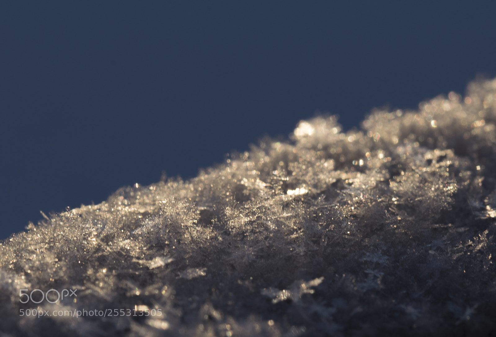 Nikon D5300 sample photo. Winter photography