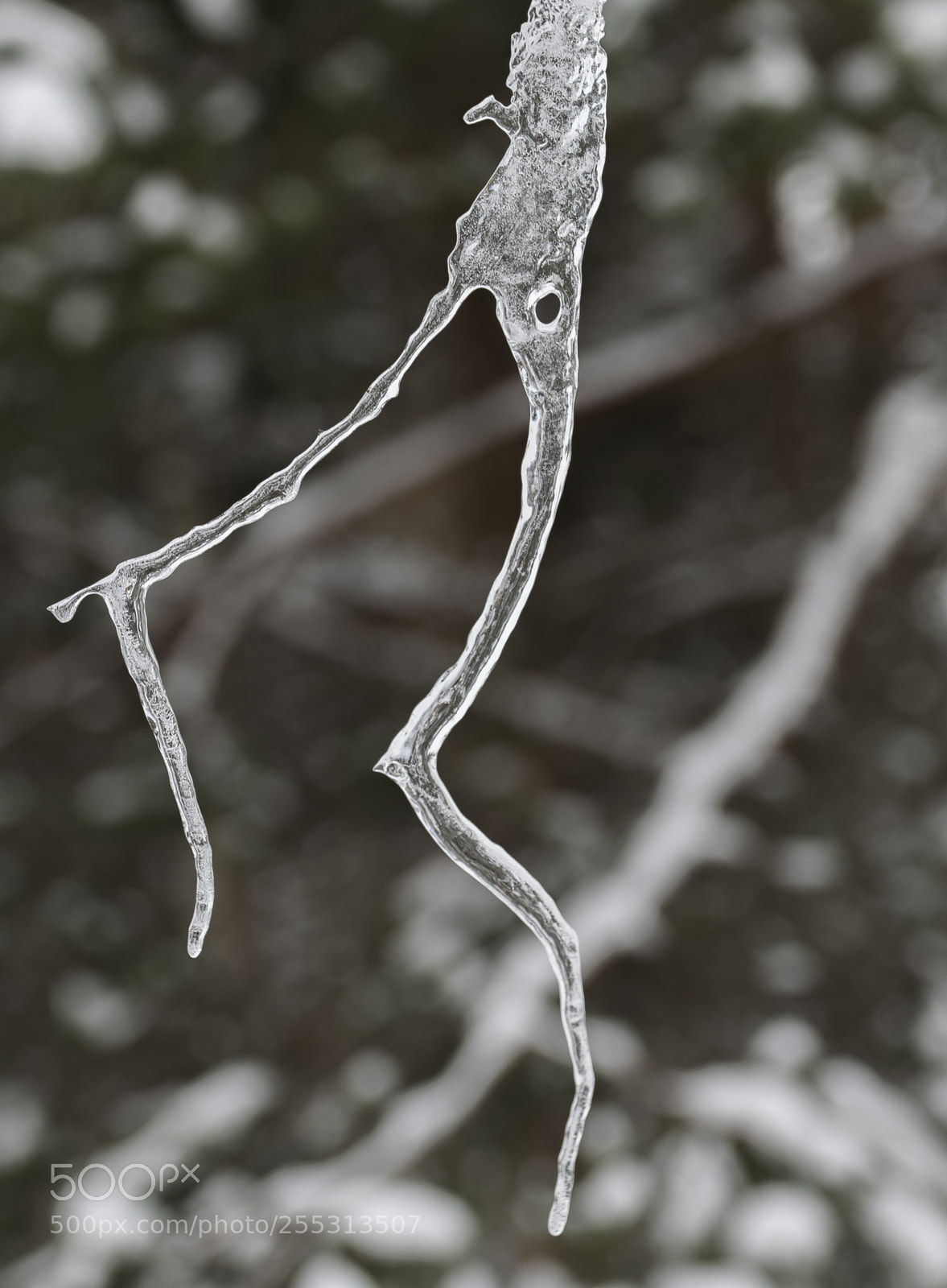 Nikon D5300 sample photo. Winter photography