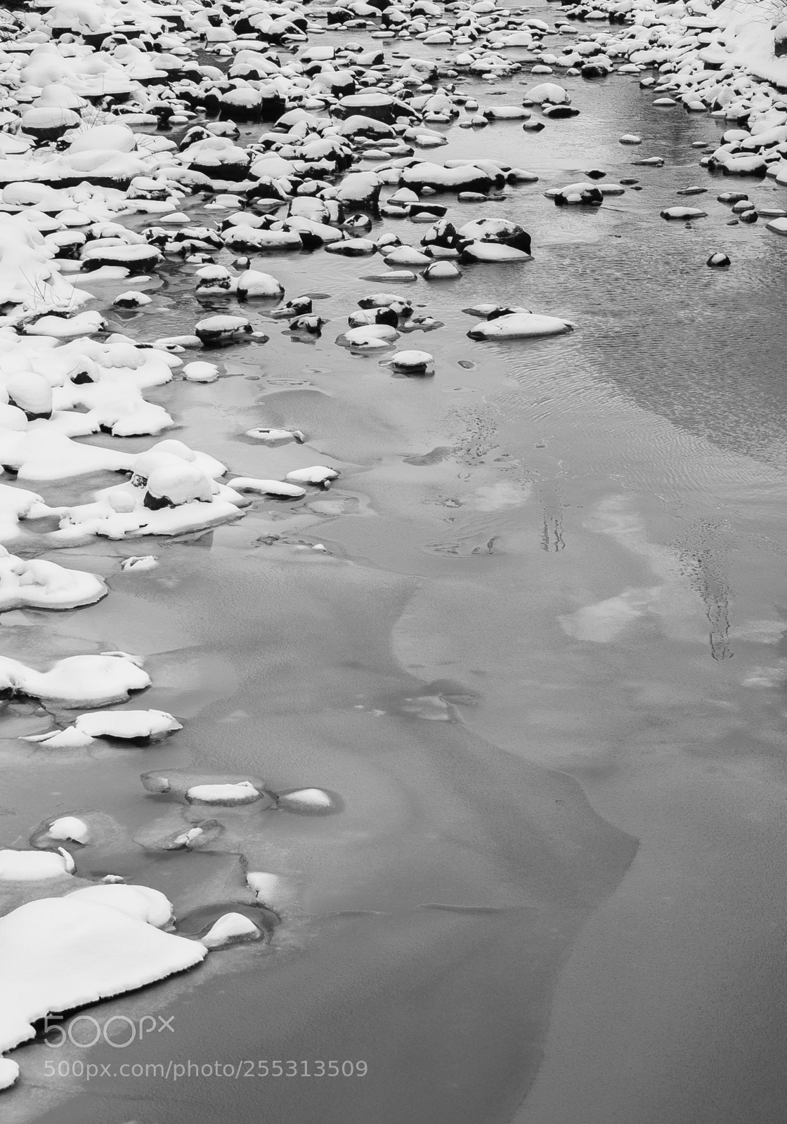 Nikon D5300 sample photo. Winter photography