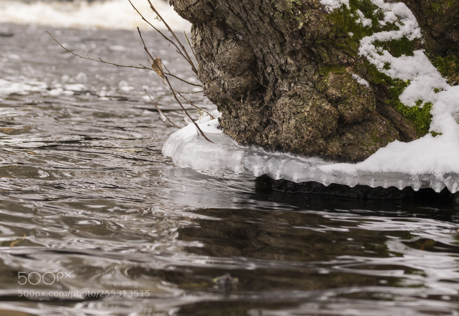 Nikon D5300 sample photo. Winter photography
