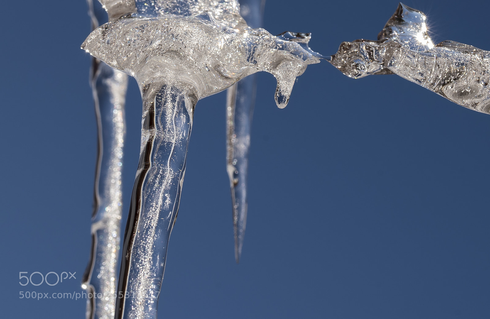 Nikon D5300 sample photo. Winter photography