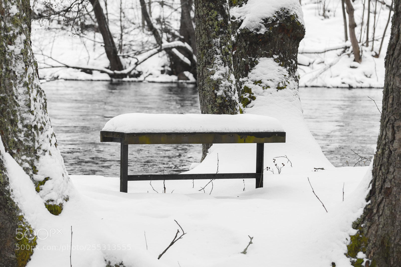 Nikon D5300 sample photo. Winter photography