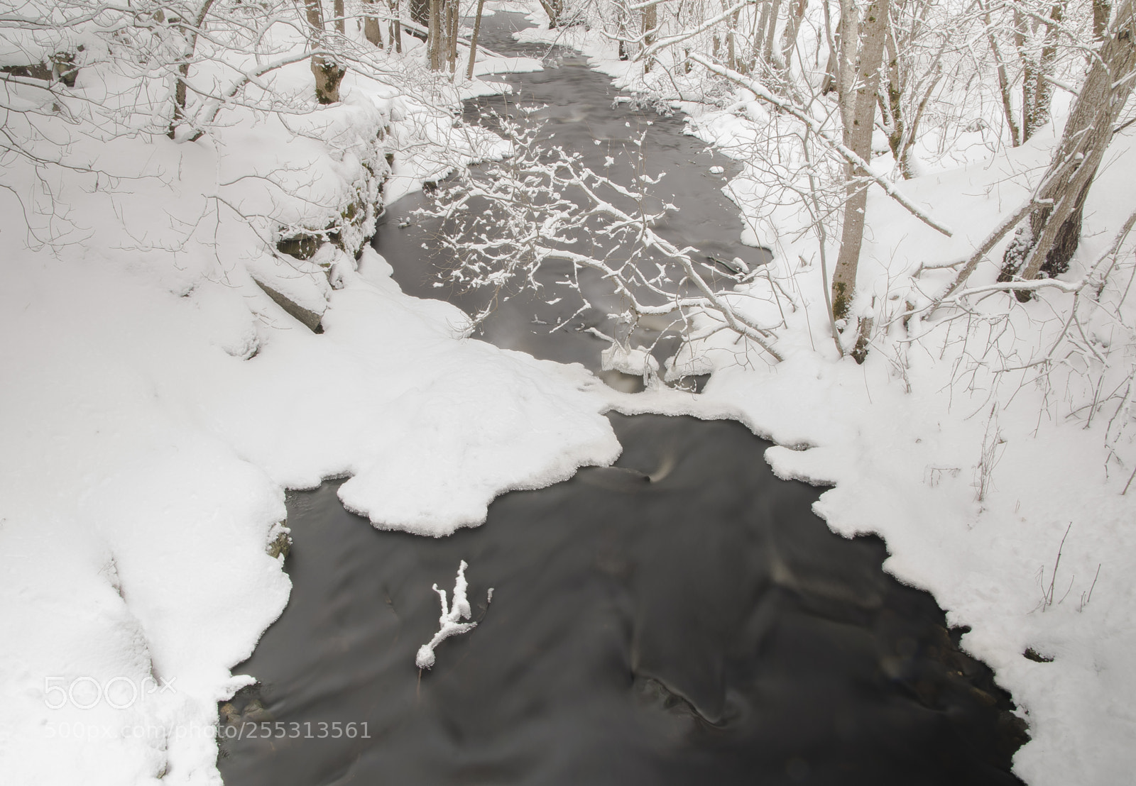 Nikon D5300 sample photo. Winter photography