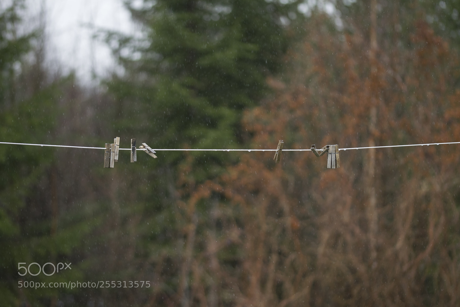 Nikon D5300 sample photo. Winter photography