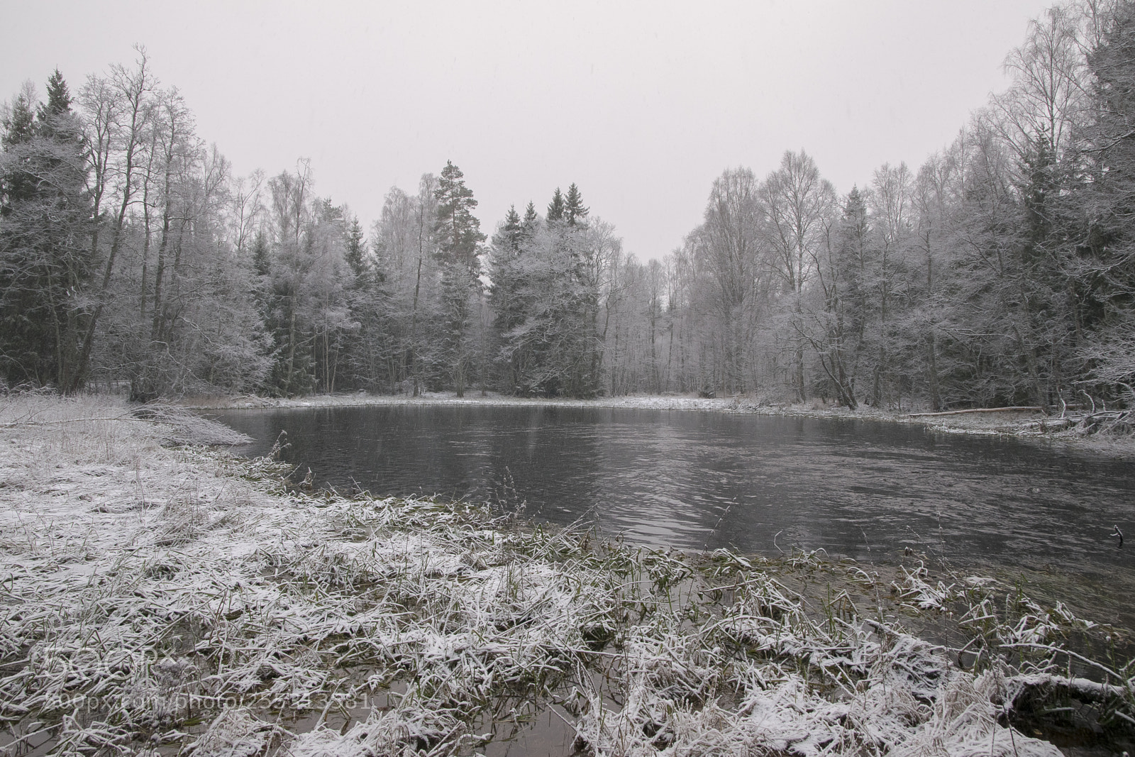 Nikon D5300 sample photo. Winter photography