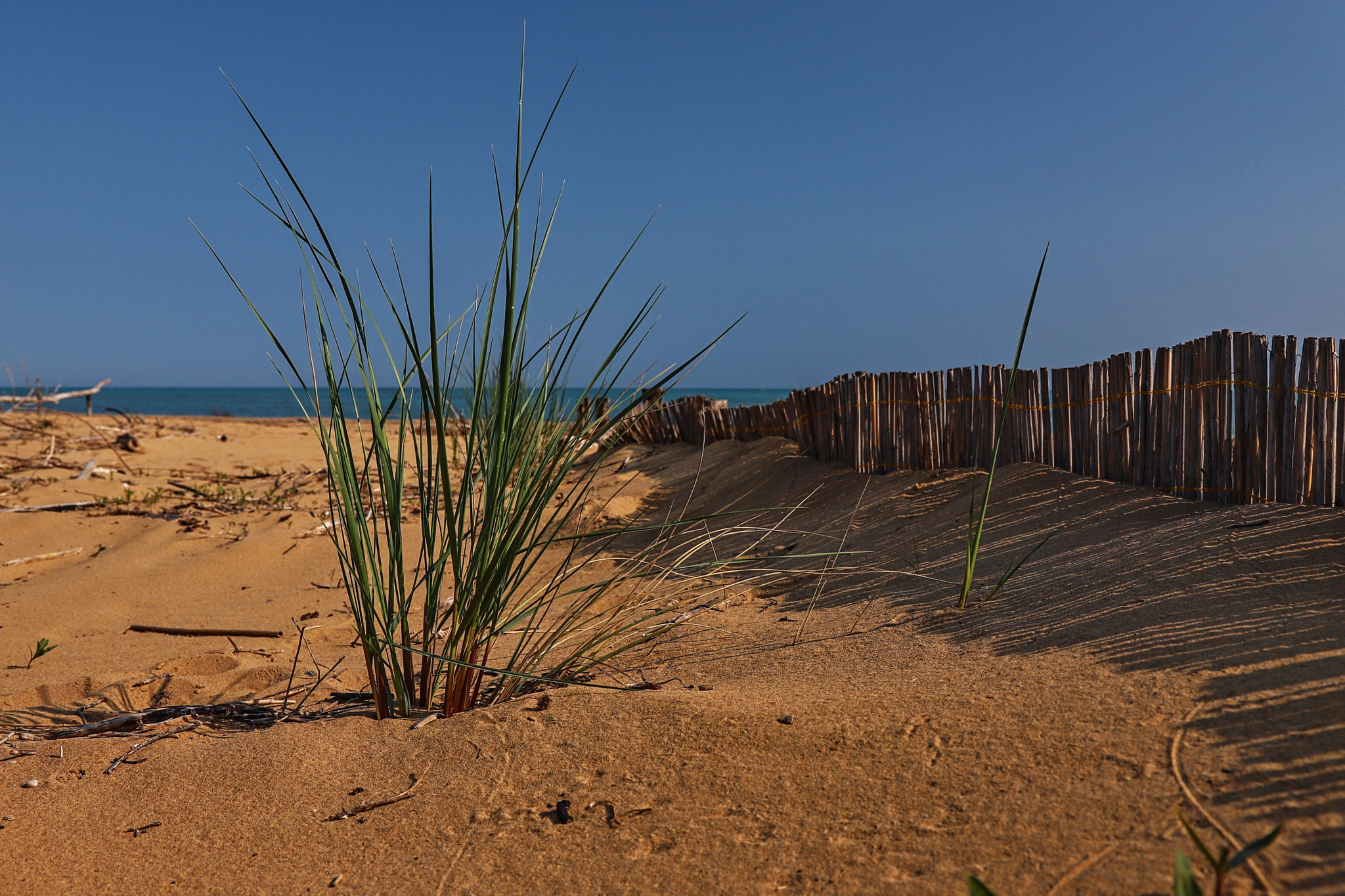 Canon EOS 6D Mark II sample photo. Spring on the beach photography