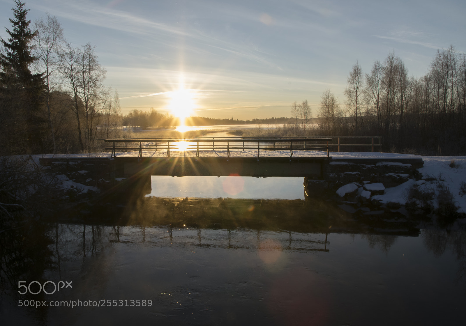 Nikon D5300 sample photo. Winter photography