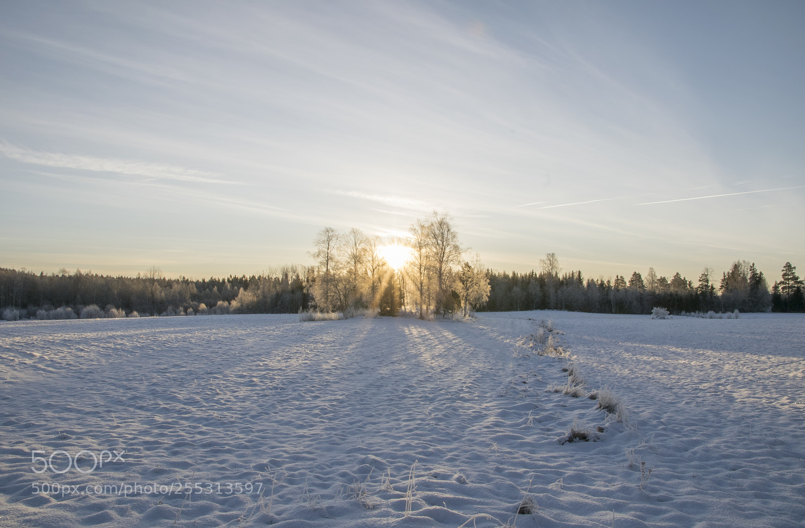 Nikon D5300 sample photo. Winter photography