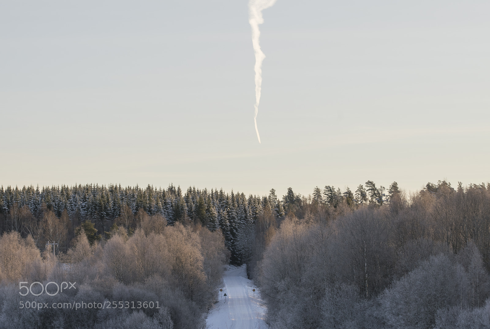Nikon D5300 sample photo. Winter photography