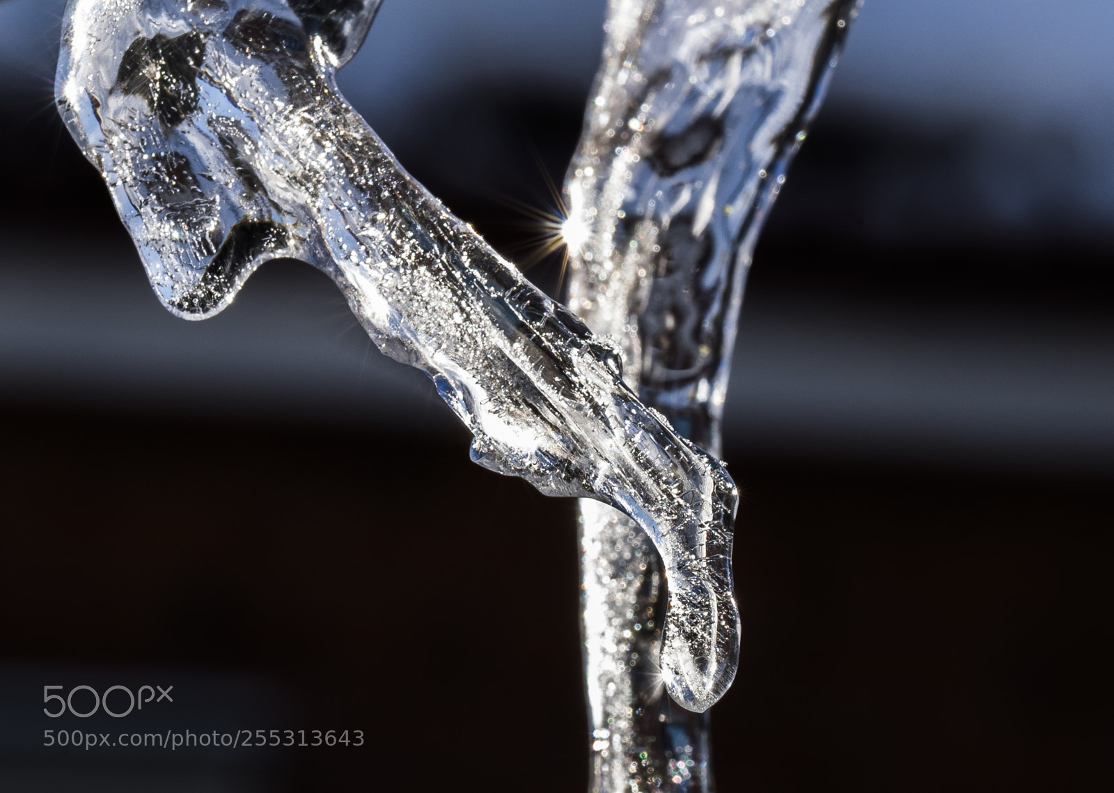 Nikon D5300 sample photo. Winter photography