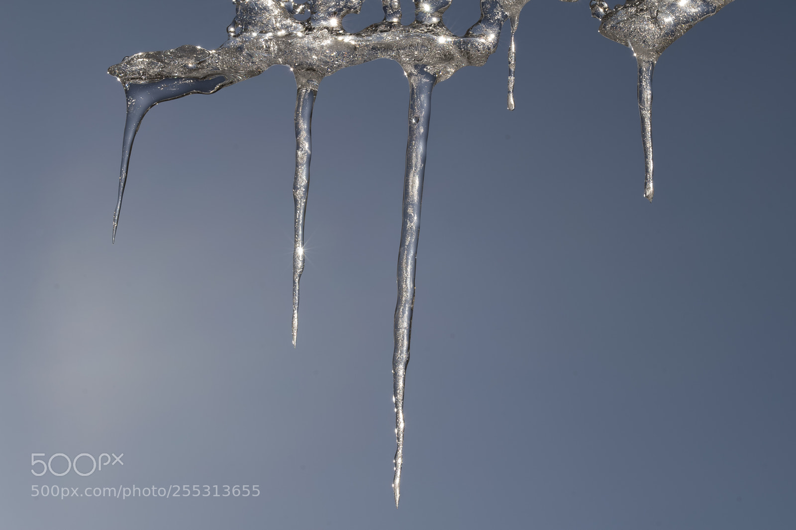 Nikon D5300 sample photo. Winter photography