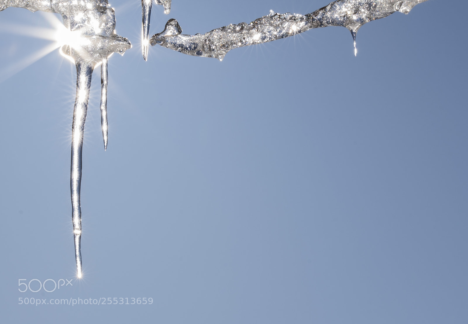 Nikon D5300 sample photo. Winter photography
