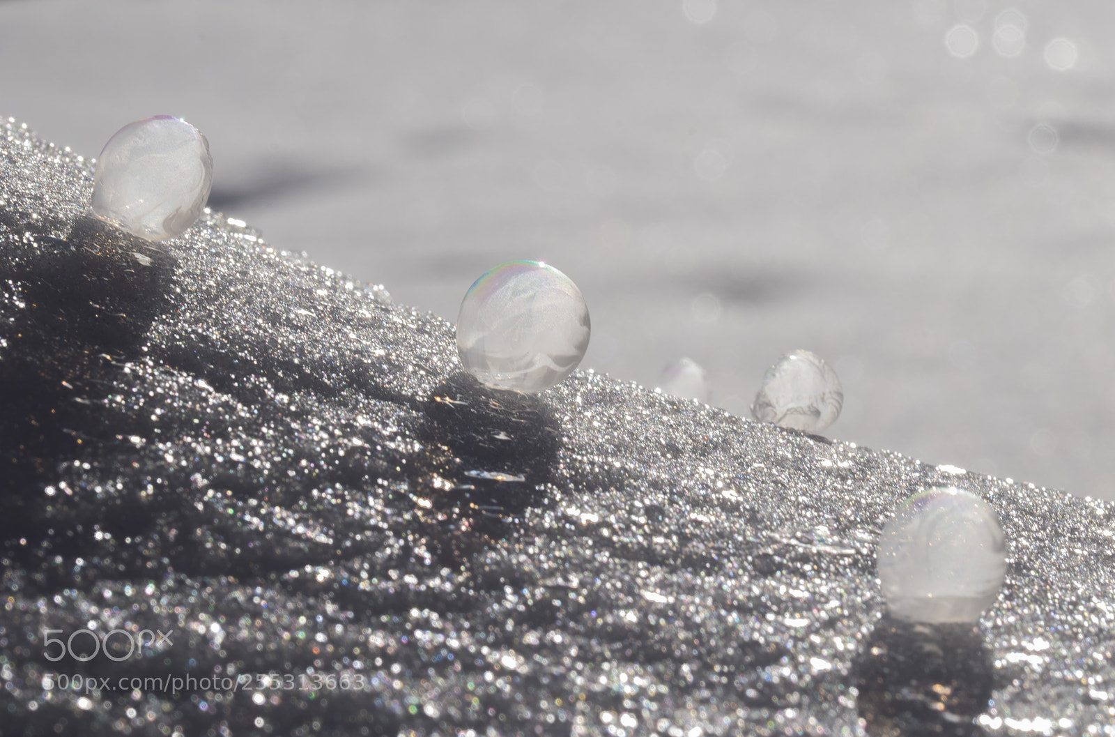 Nikon D5300 sample photo. Winter photography