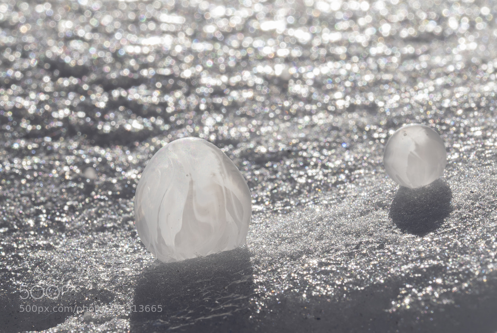 Nikon D5300 sample photo. Winter photography