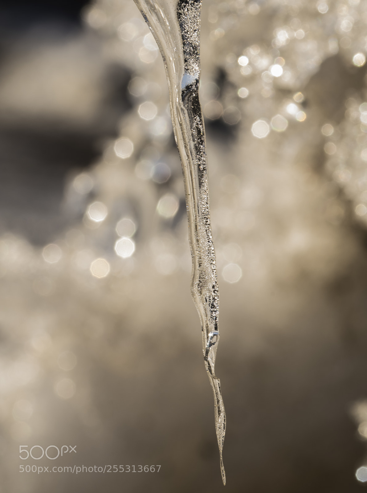 Nikon D5300 sample photo. Winter photography