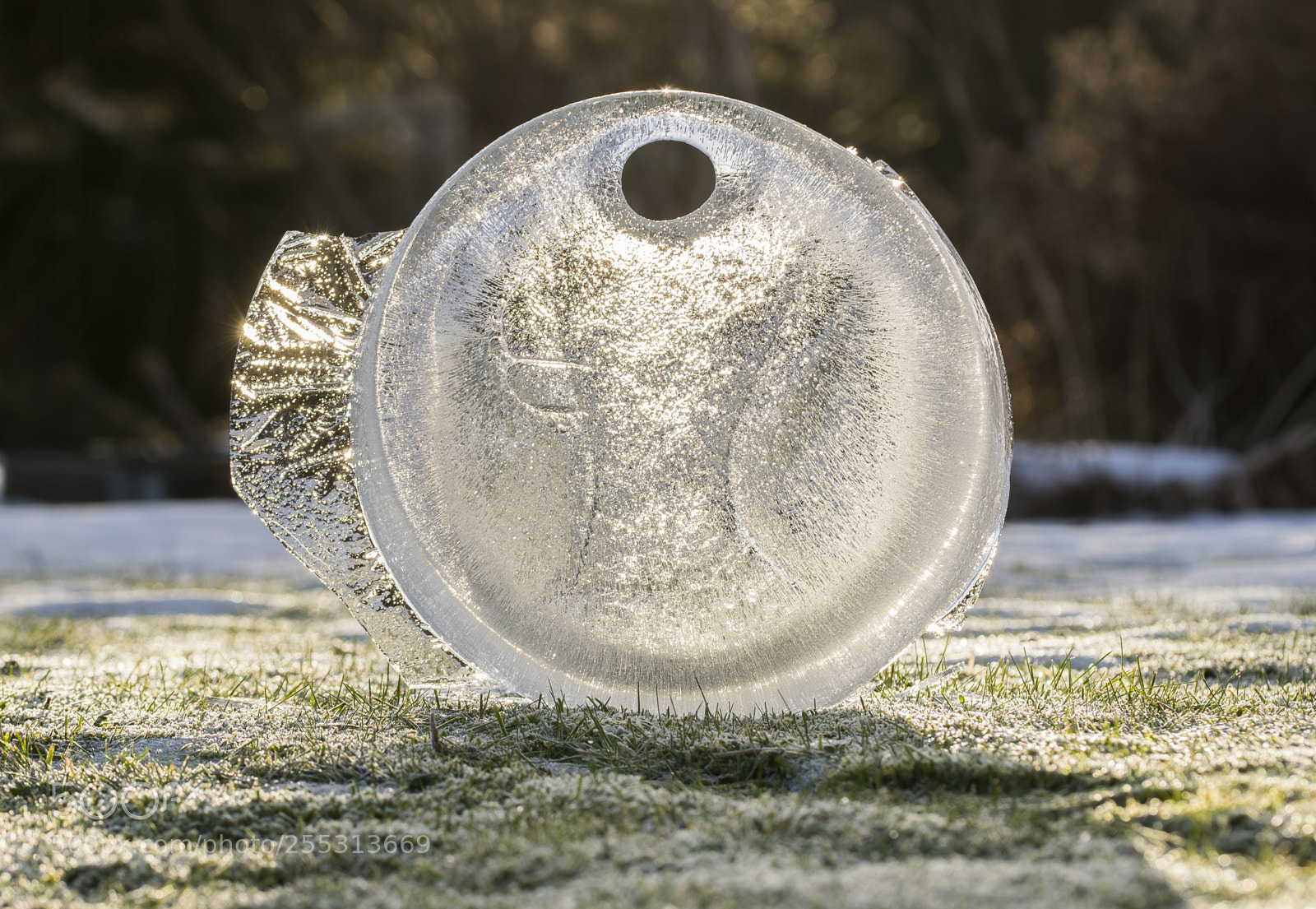 Nikon D5300 sample photo. Winter photography