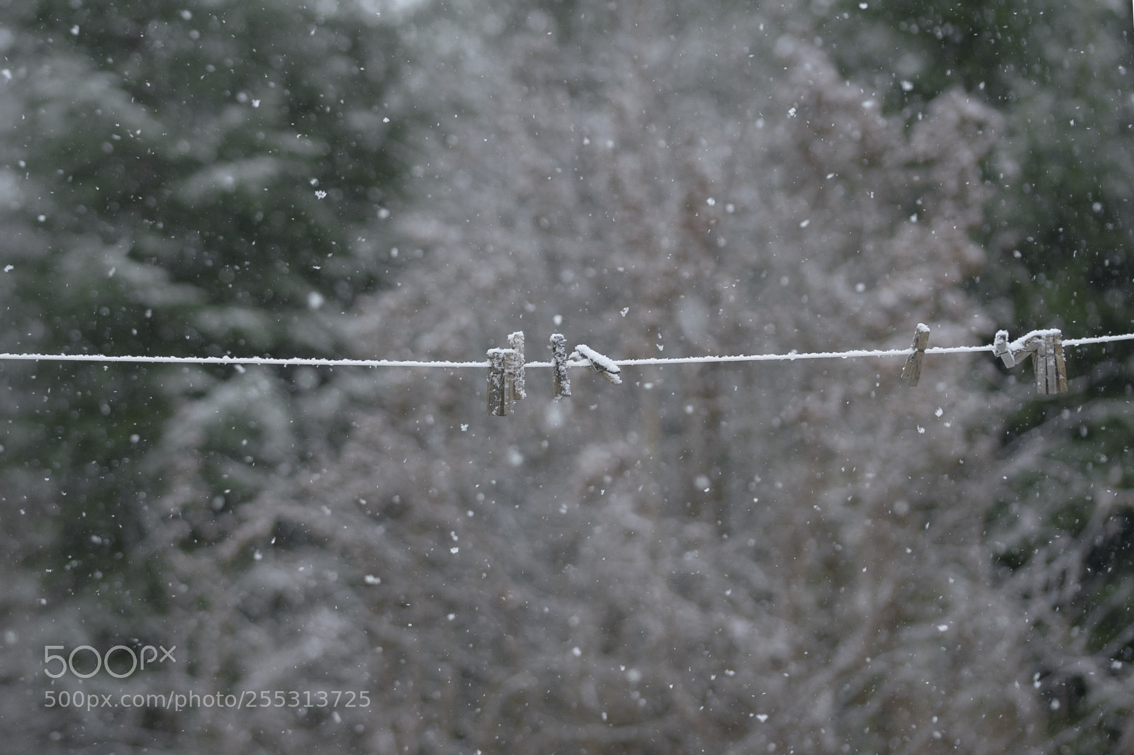Nikon D5300 sample photo. Winter photography