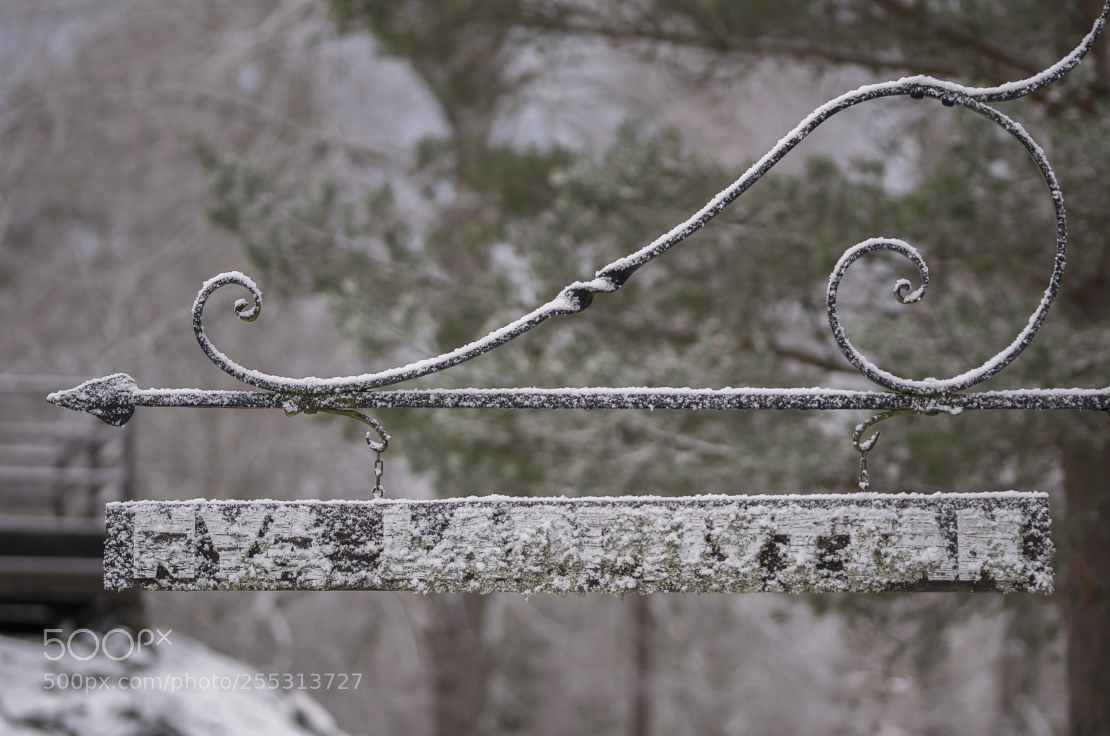 Nikon D5300 sample photo. Winter photography