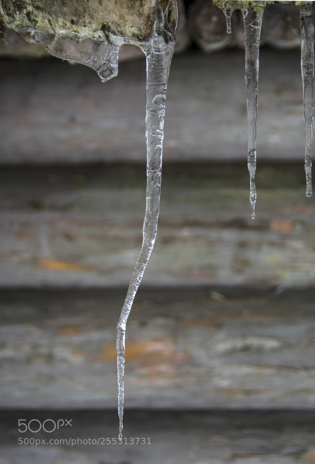Nikon D5300 sample photo. Winter photography
