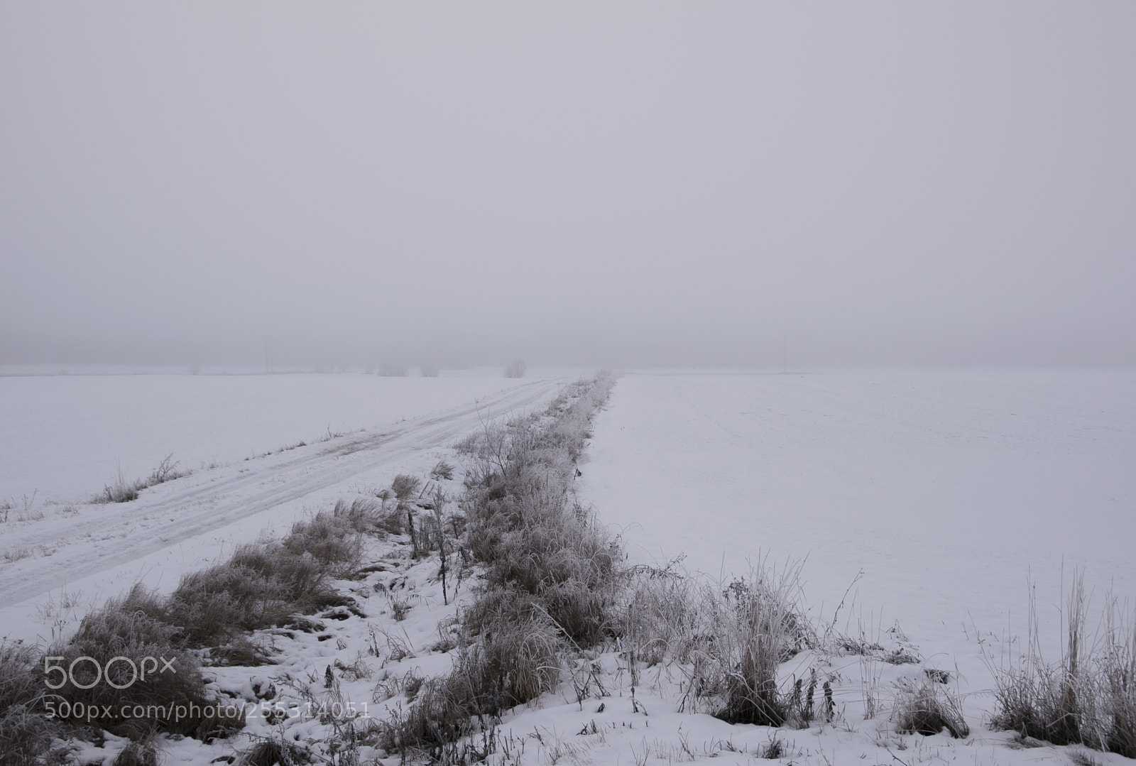 Nikon D5300 sample photo. Winter photography