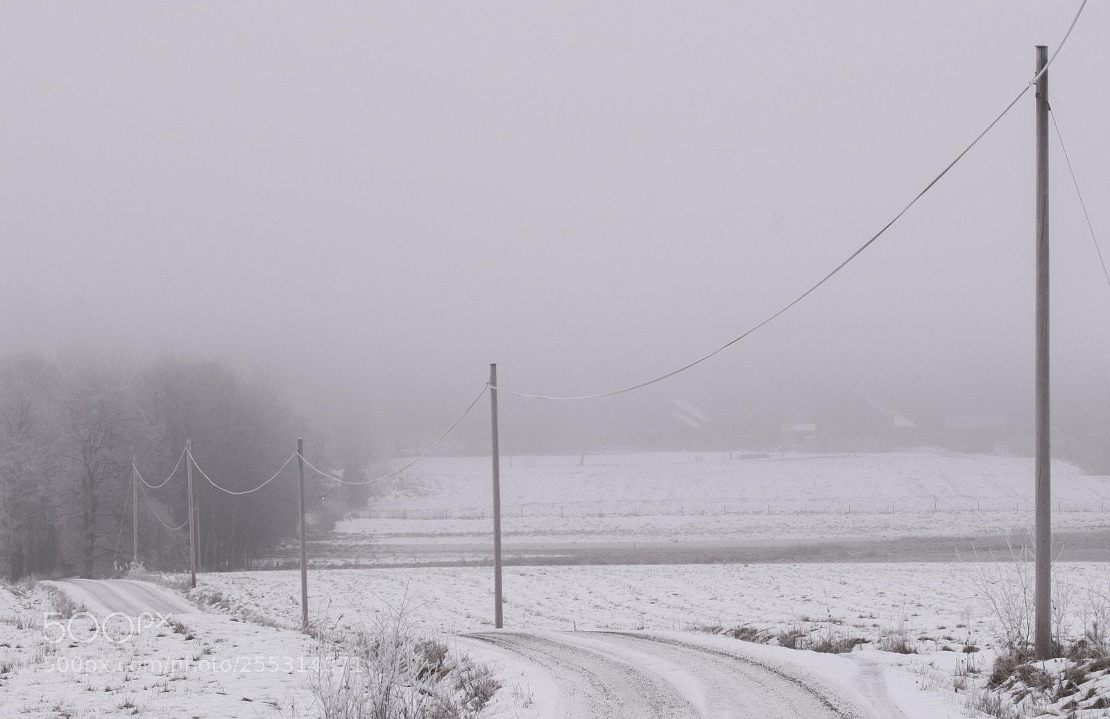 Nikon D5300 sample photo. Winter photography