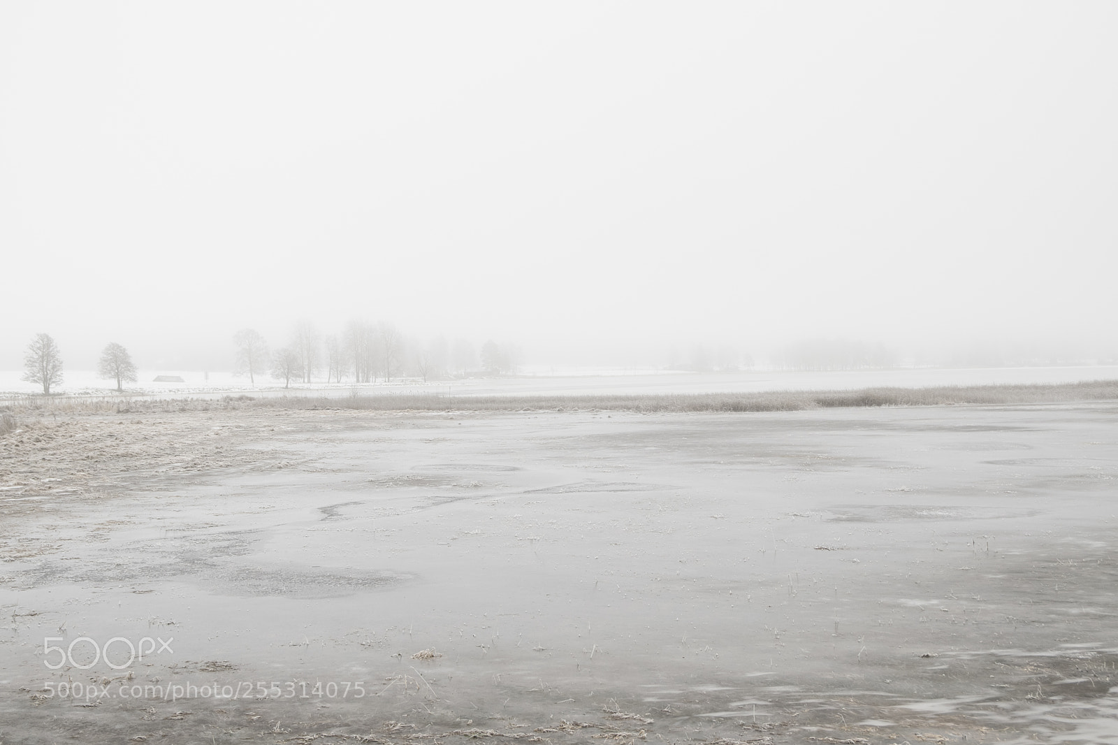 Nikon D5300 sample photo. Winter photography