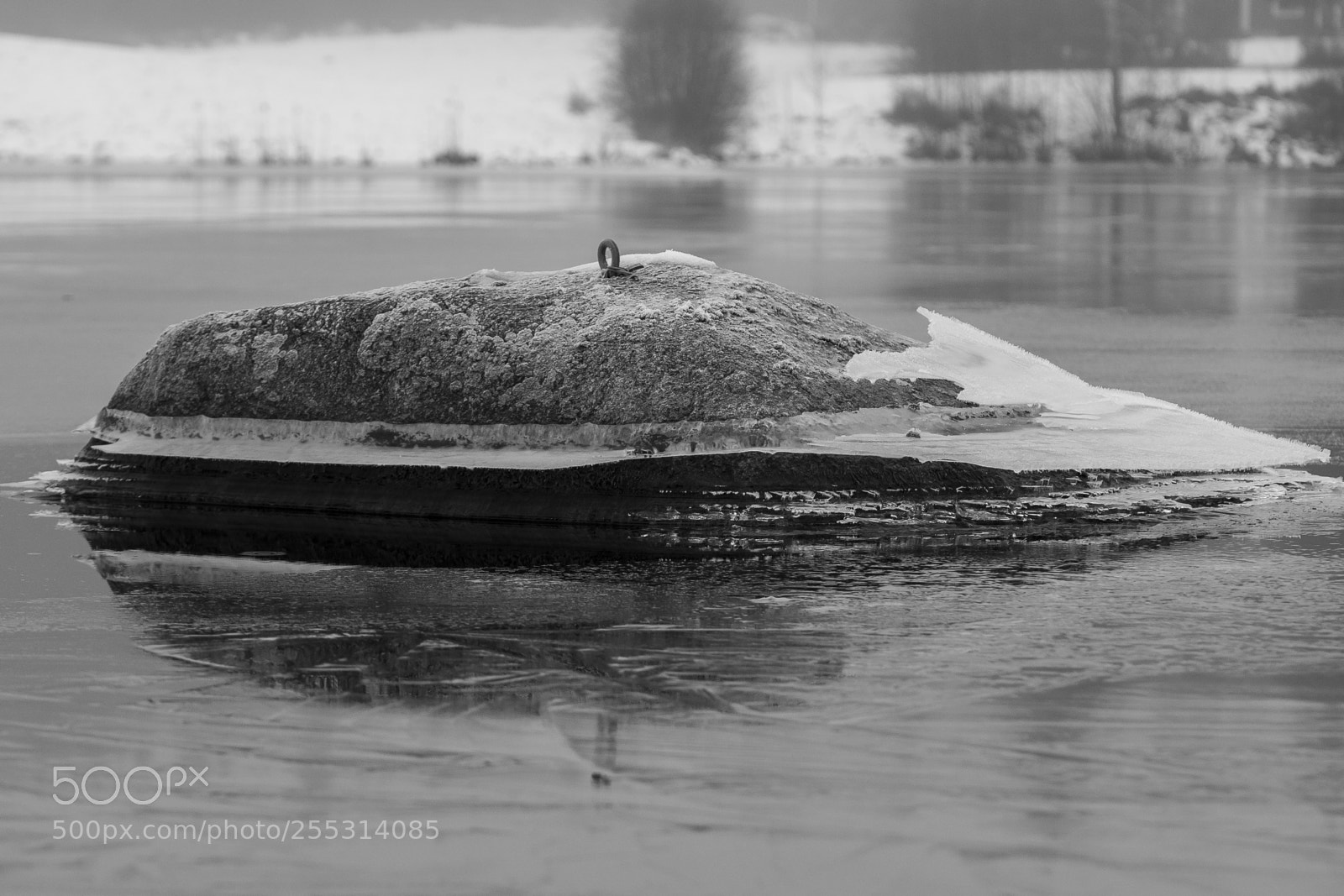 Nikon D5300 sample photo. Winter photography