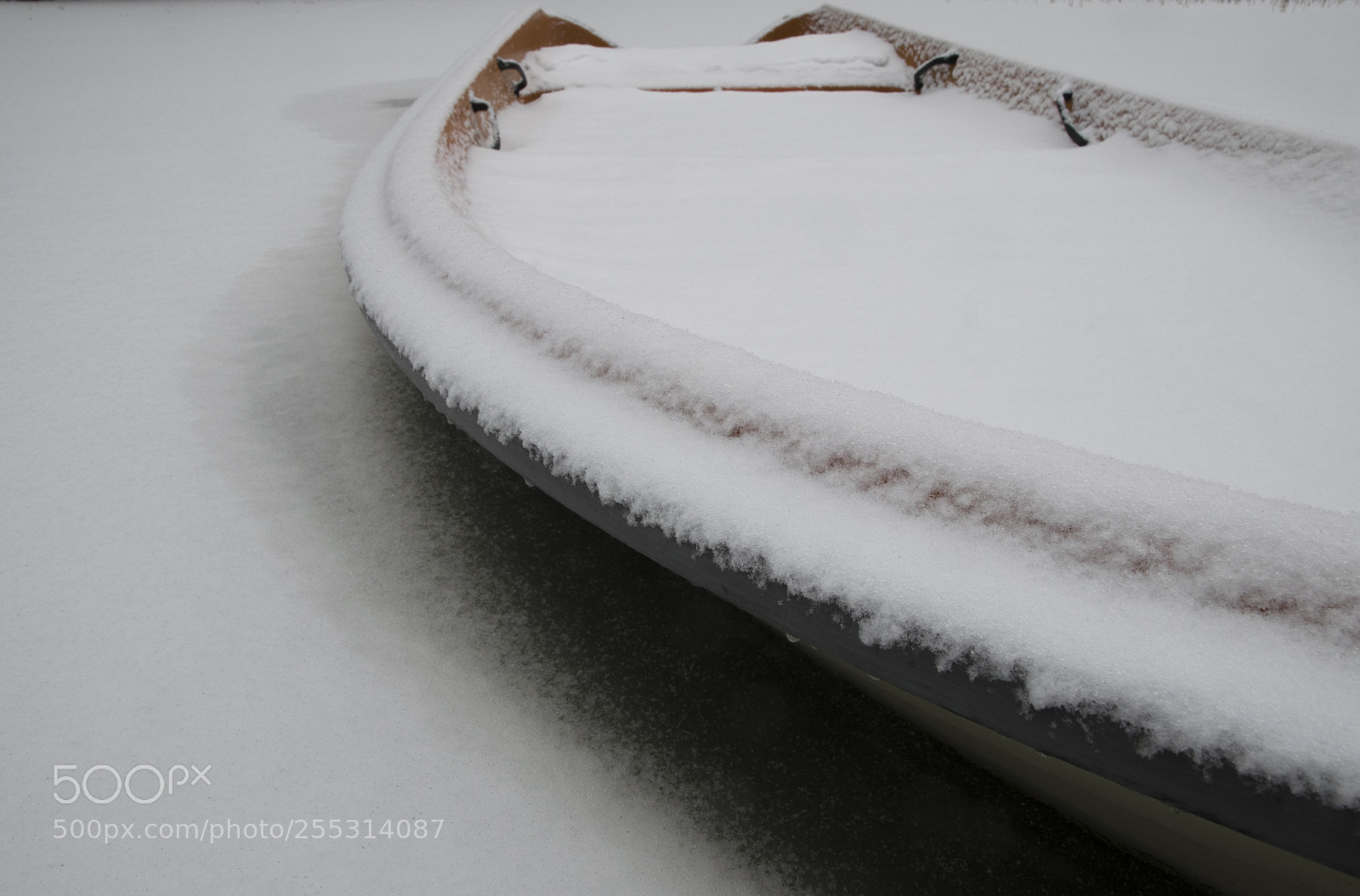 Nikon D5300 sample photo. Winter photography