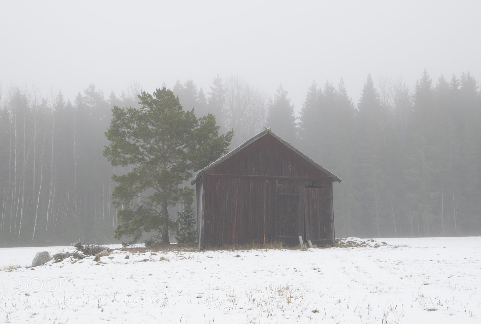 Nikon D5300 sample photo. Winter photography