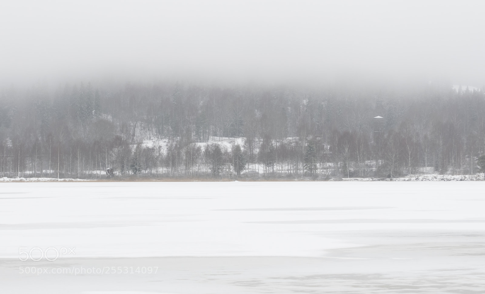 Nikon D5300 sample photo. Winter photography
