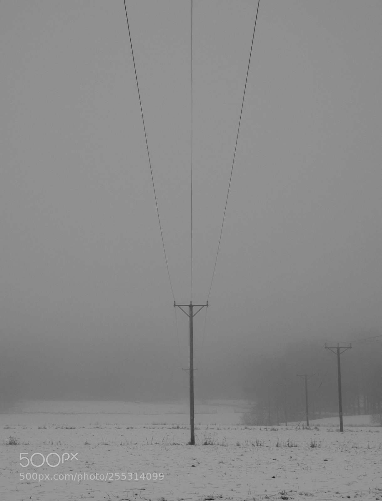 Nikon D5300 sample photo. Winter photography
